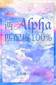 两A匹配度100%